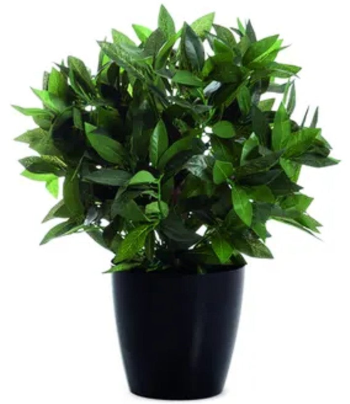 Plante Artificielle Laurier - Hauteur 50 cm