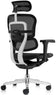 Fauteuil Ergonomique Ultra - Confort et Réglages Avancés