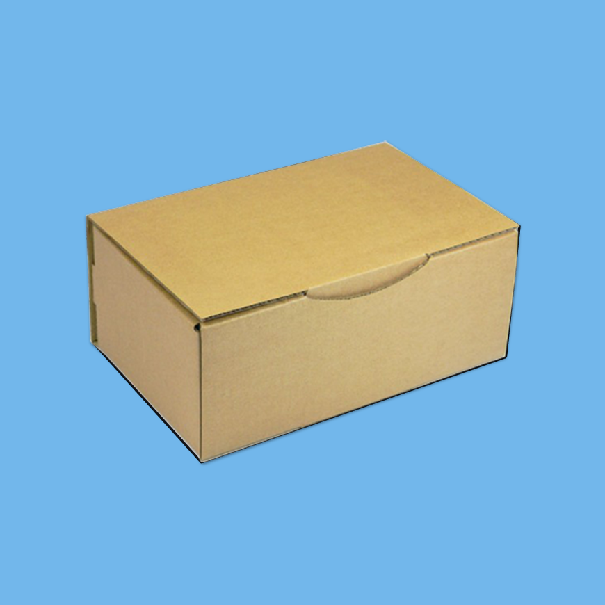 Boite postale kraft 25x15x10cm