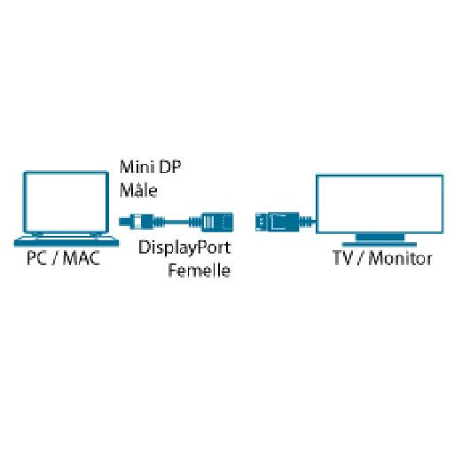 Câble mini displayport vers displayport - 4k, 15 cm