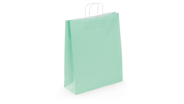 Sac poignées torsadée 18x22x8 vert eaup/50