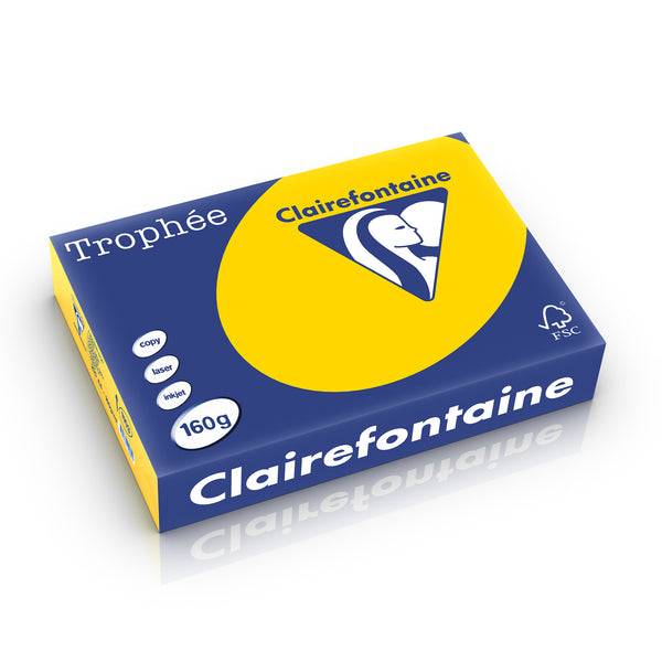 Papier a4 Trophée 160g - couleur bouton d'or, 250 feuilles