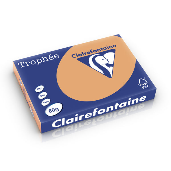 Papier a3 Trophée 80g - caramel perforé 500 feuilles