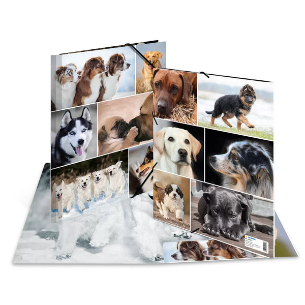 Chemise 3 rabats a4 carton - design chiens