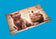Sous-main motif chat - Protection de bureau 55x43 cm