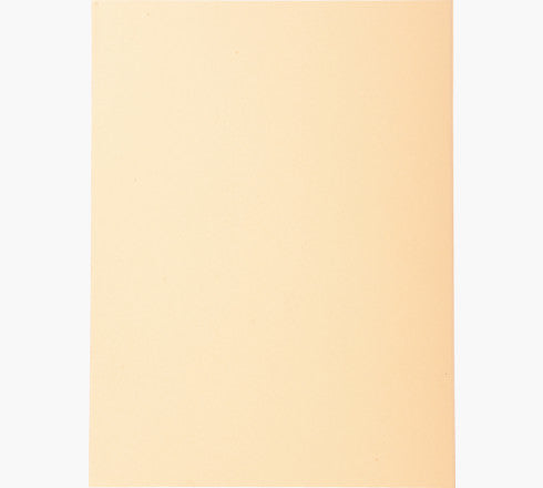 Chemises 220g standard p/100 bulle