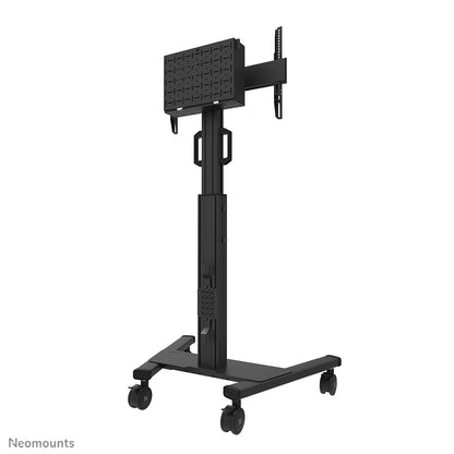 Support mobile écran 37-75" - hauteur réglable