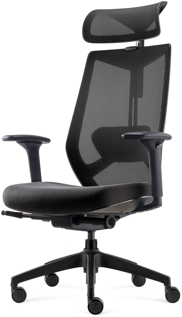 Fauteuil ergonomique noir issore