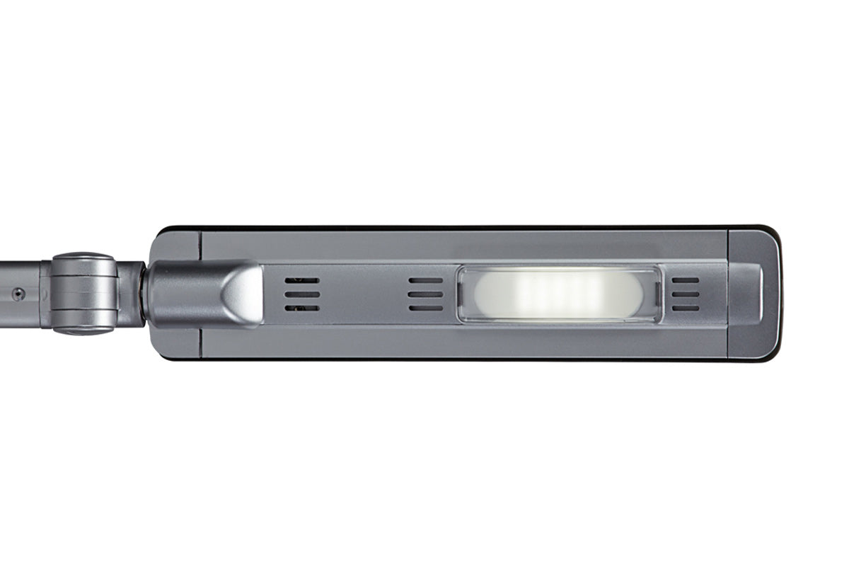 Lampe de bureau LED maul pure avec variateur
