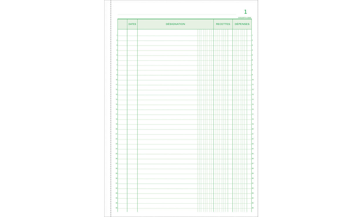 Manifold Recettes/Depenses 1350