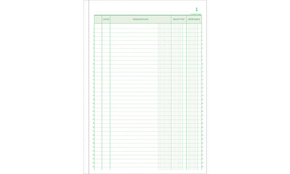 Manifold Recettes/Depenses 1350
