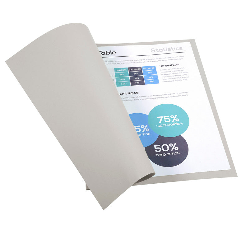 Chemises 170g standard paquet 100 gris