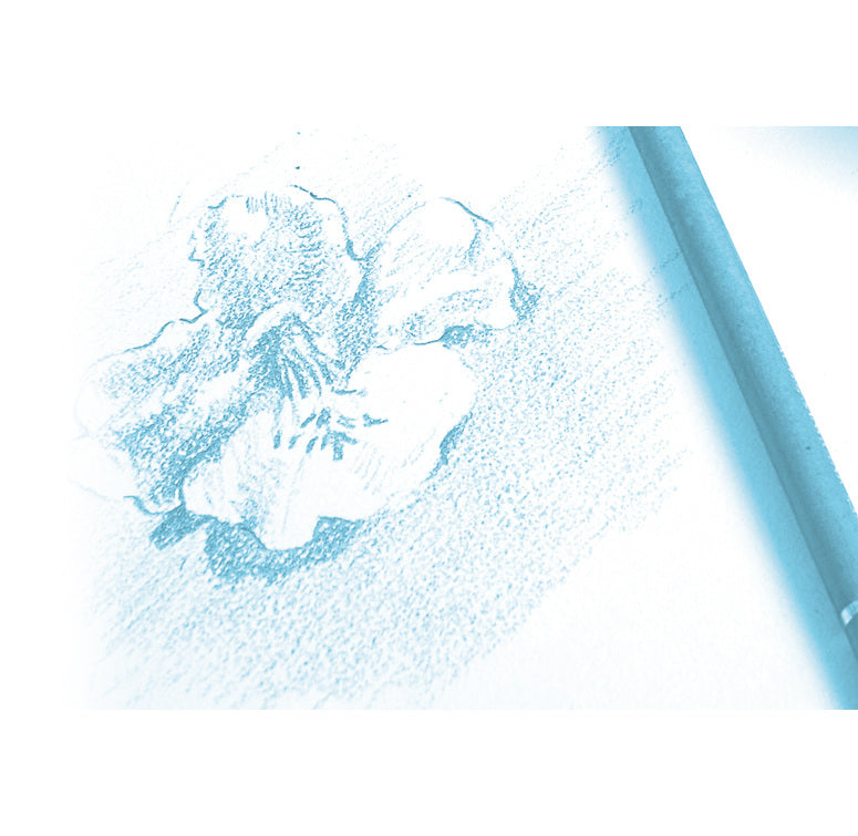 Papier dessin 21x29.7cm - 180g, 12 feuilles