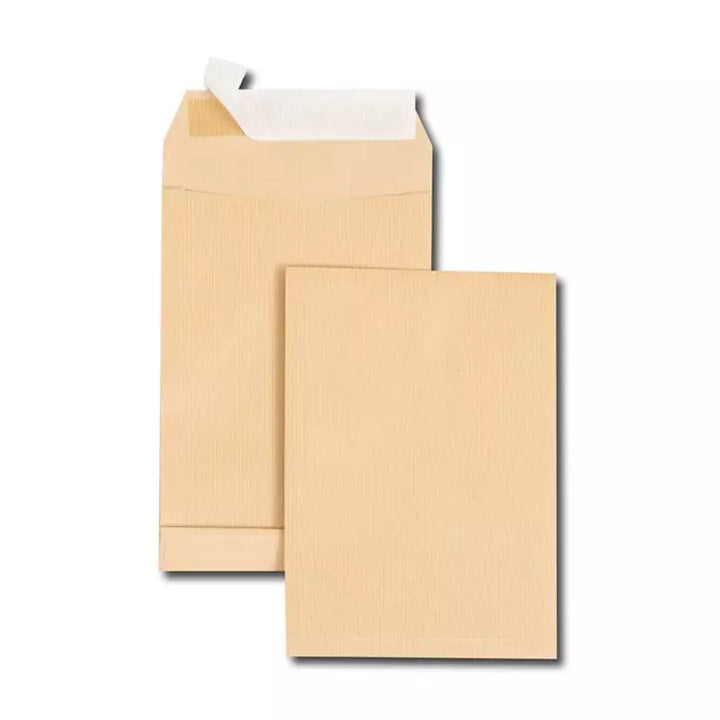 Pochette expedition 162x229 kraft avec soufflet 120g boite de 250