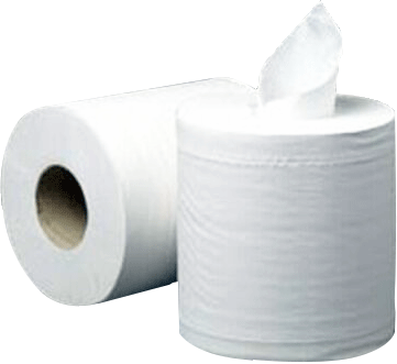 Bobine essuie-mains 2 plis - dévidage central ecolabel