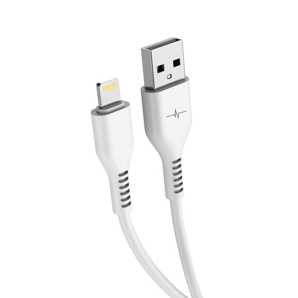 Câble lightning 1m - charge rapide et transfert de données
