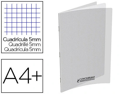 Cahier 48 pages  24x32cm incolore quadrillé 5x5