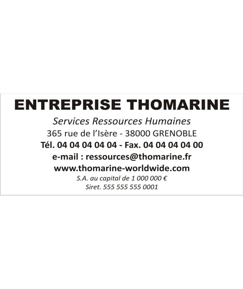 Tampon professionnel 5206 - Empreinte 56x33 mm