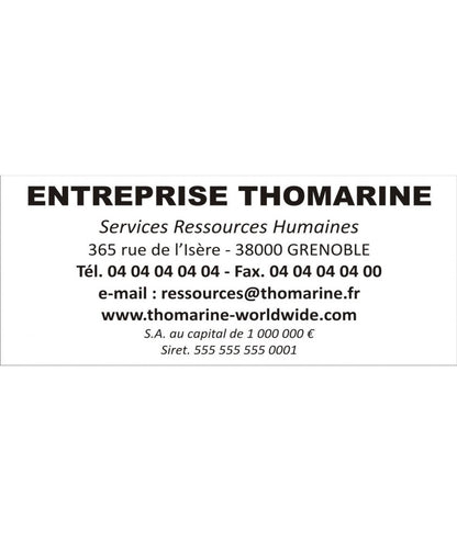 Tampon professionnel 5206 - Empreinte 56x33 mm
