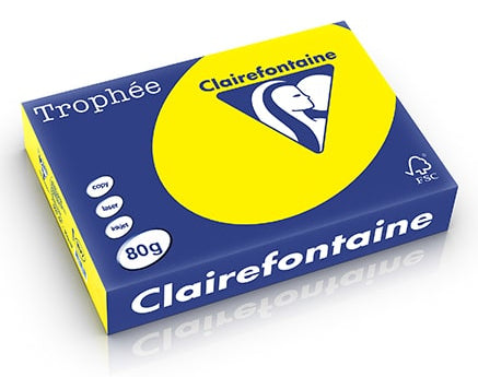 Papier a3 Trophée  80g - couleur vive et qualité optimale