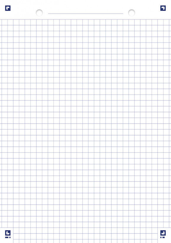Bloc a5 - 30 fiches perforées - petits carreaux 5x5mm