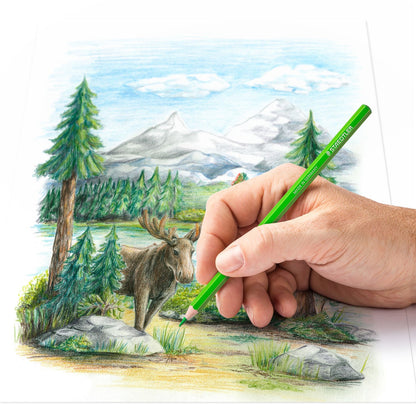 Crayons de couleur hexagonaux - 12 couleurs vives