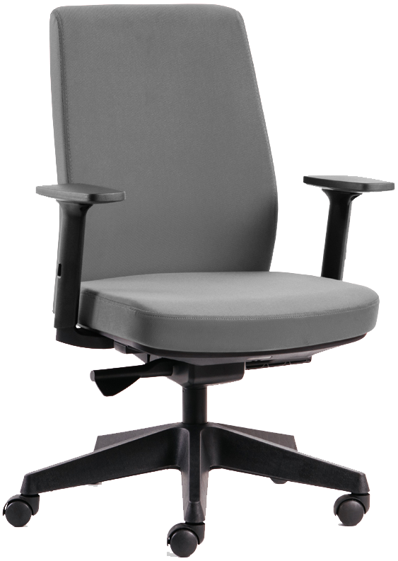 Fauteuil de bureau ergonomique Gris - confort optimal