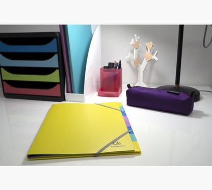 Trieur polypro A4 forever young-8 cases