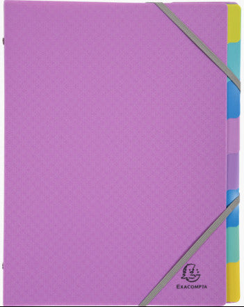 Trieur polypro A4 forever young-8 cases