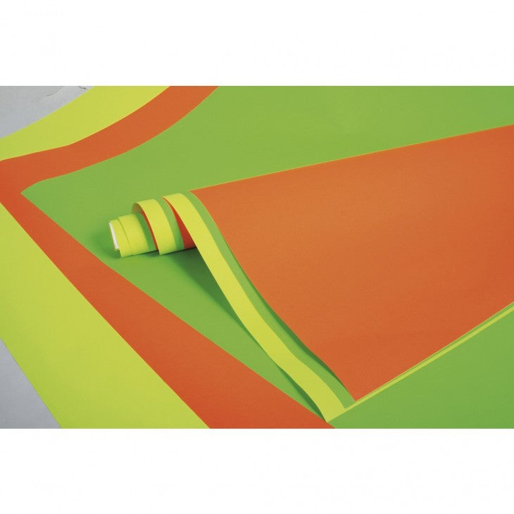 AFFICHE FLUO 60X80 ROUL. P/10