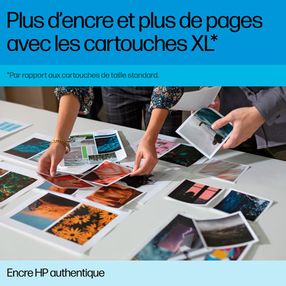 Cartouche d'encre HP N°342 couleur - 220 pages