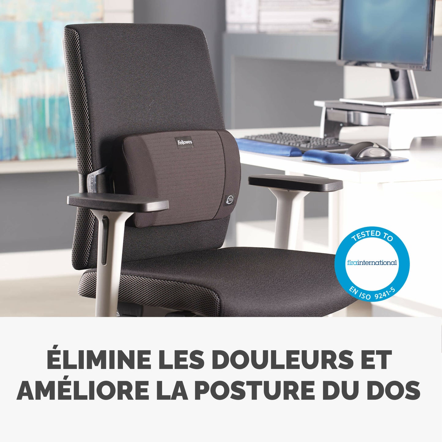 Support Lombaires Portable - Confort et Ergonomie